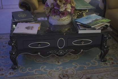 Vintage Stone Pattern Coffee Table with Two Drawers